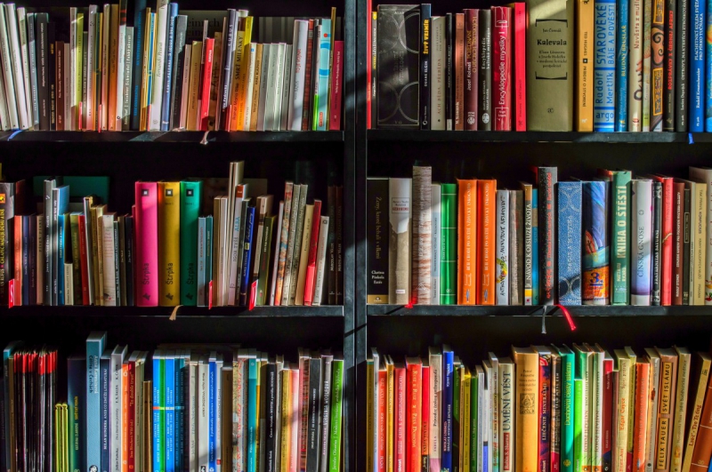 magasin-ST RAPHAEL-min_books_bookstore_book_reading_shop_writer_sale_books_read-822866
